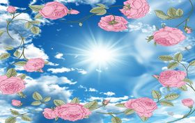 花卉蓝天吊顶