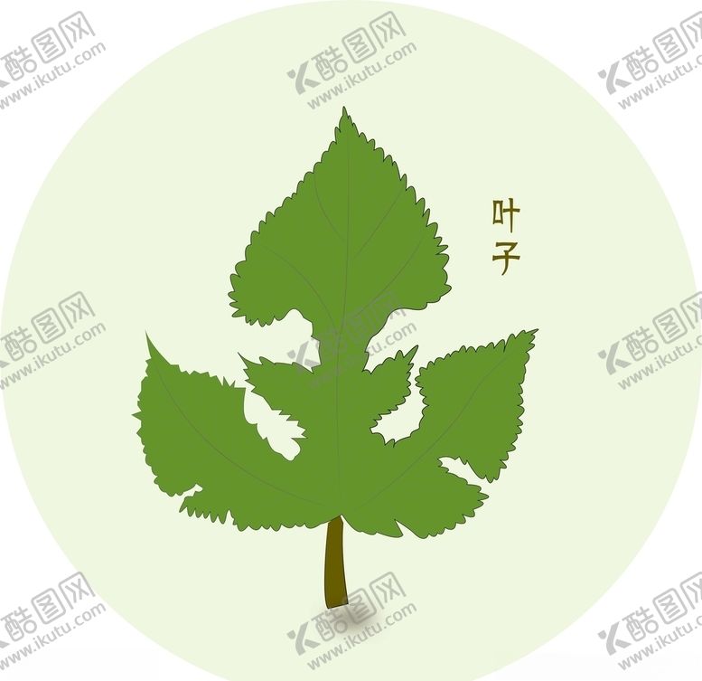 编号：73064207040710033160【酷图网】源文件下载-叶子