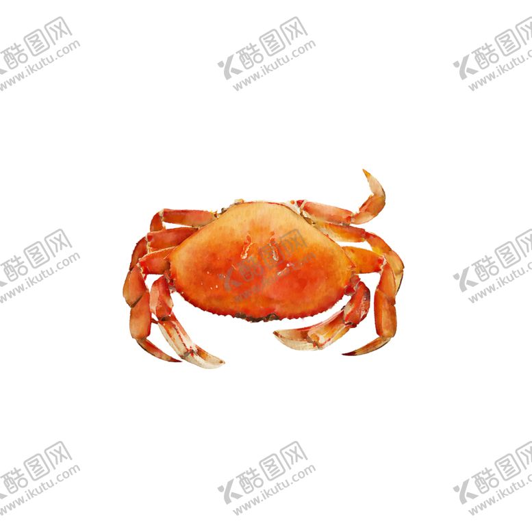 编号：81231109171038356487【酷图网】源文件下载-螃蟹中秋蟹肥大闸蟹海报素材
