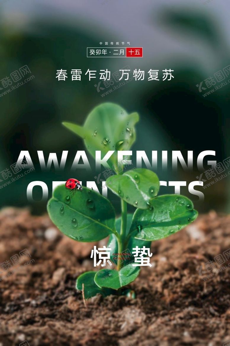 编号：81069209120025294183【酷图网】源文件下载-惊蛰海报