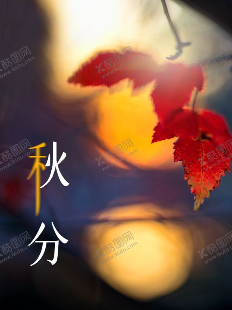 编号：26464109112338098889【酷图网】源文件下载-秋分海报秋季入秋素材秋天背景