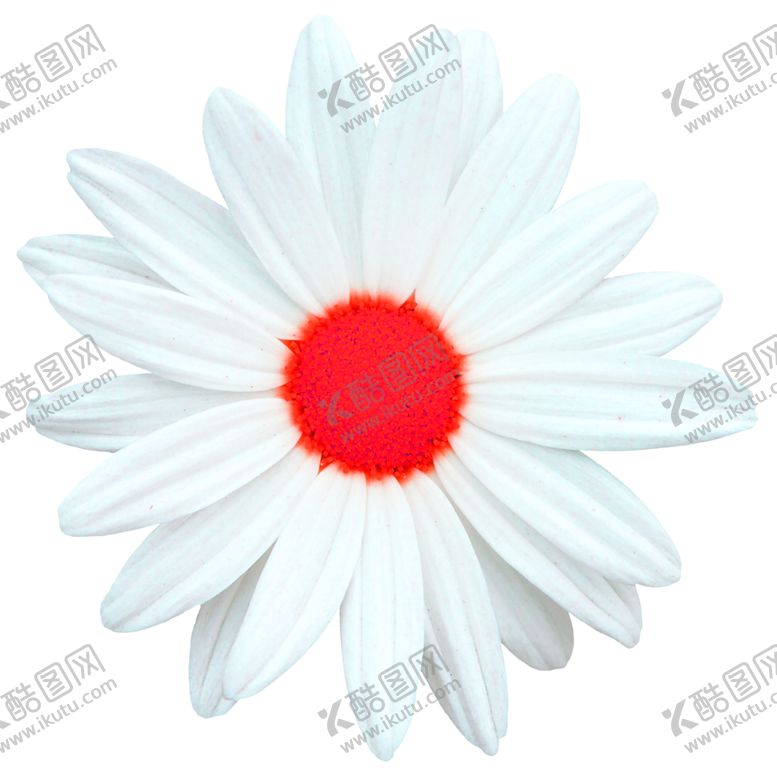 编号：92181610010753174082【酷图网】源文件下载-鲜花素材