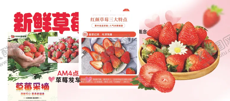 编号：52647202250112122254【酷图网】源文件下载-新鲜草莓