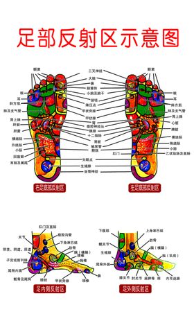 足部穴位图