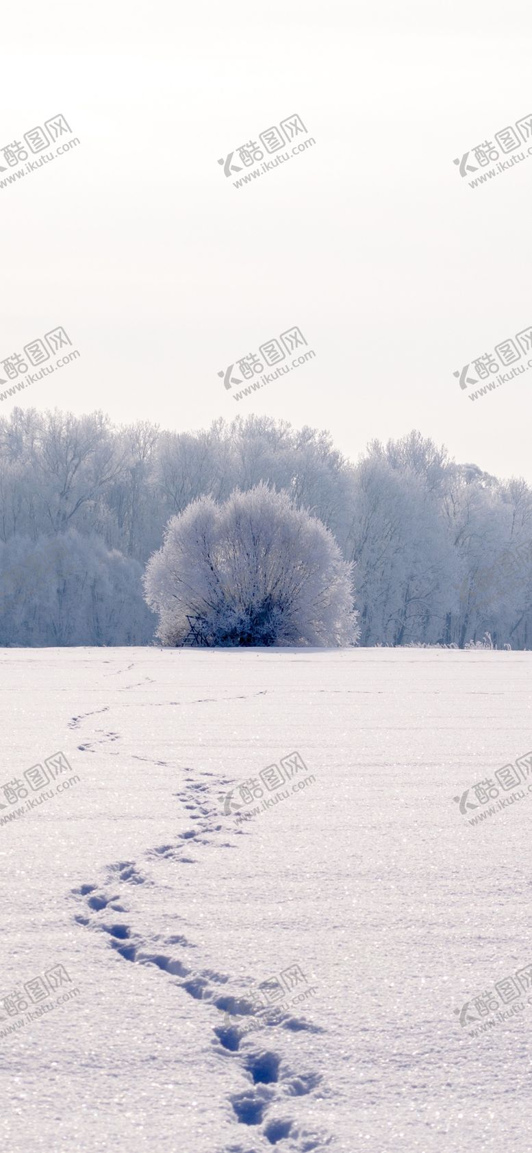 编号：60208609281615431636【酷图网】源文件下载-手机壁纸
