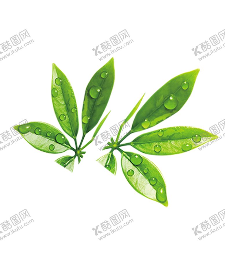 编号：39499209181944583522【酷图网】源文件下载-绿色装饰