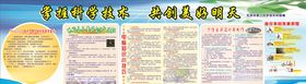 学校展板