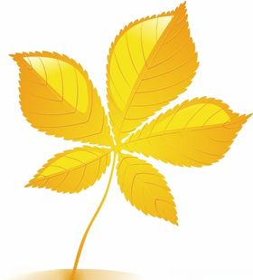 树叶矢量