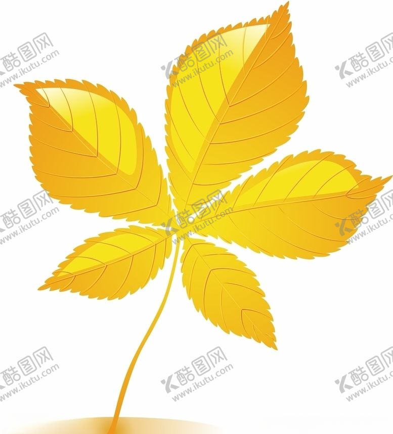 编号：77288405191004215574【酷图网】源文件下载-树叶矢量