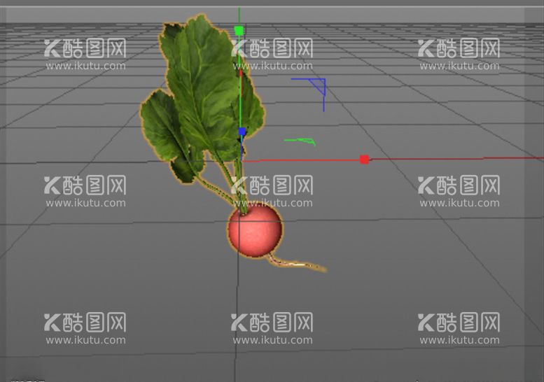 编号：92215503160037253187【酷图网】源文件下载-C4D模型红萝卜和萝卜叶子