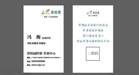 碧桂园房地产名片