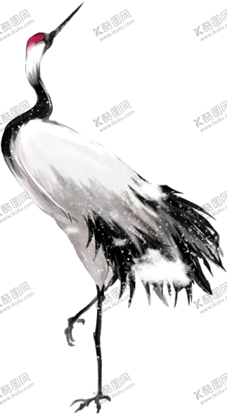 编号：72613907070159068295【酷图网】源文件下载-丹顶鹤