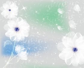 透明花朵