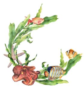 海洋主题插画图案背景