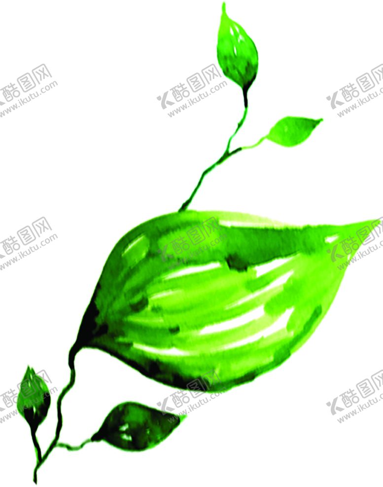 编号：77465407121018488218【酷图网】源文件下载-绿色植物