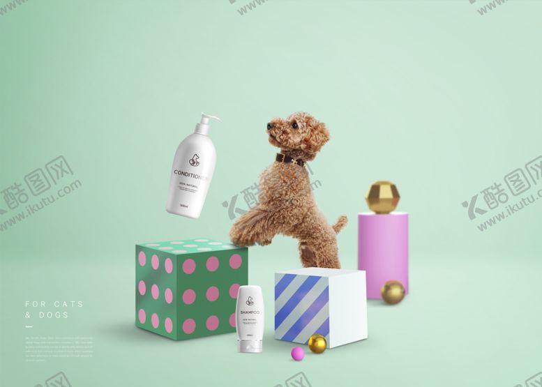 编号：75598909170635446658【酷图网】源文件下载-宠物用品海报设计