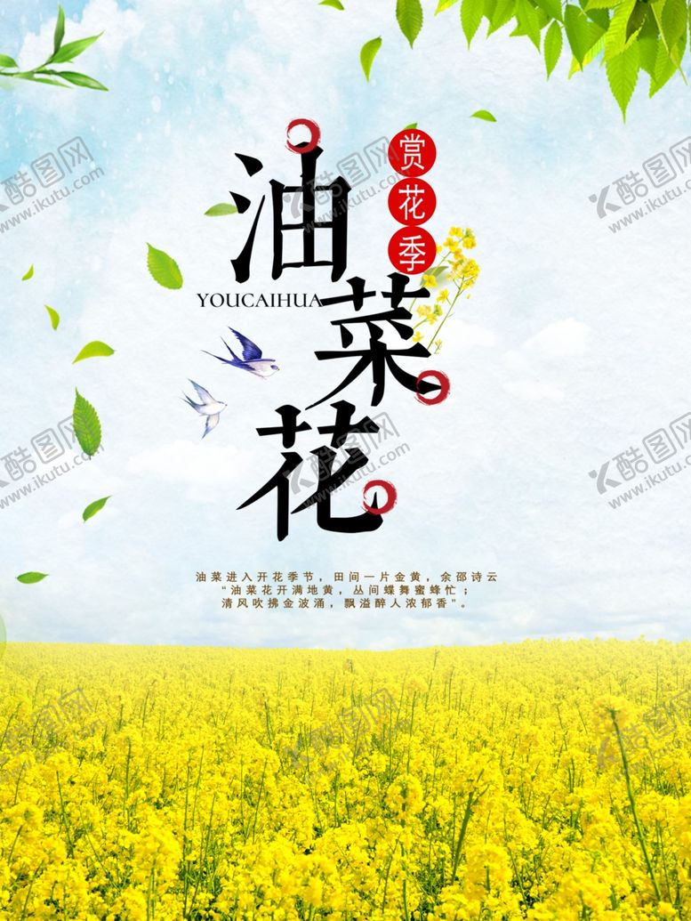编号：24007406301701122329【酷图网】源文件下载-油菜花