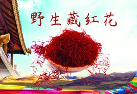 藏红花banner