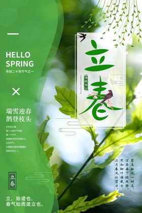 淡雅立春清新海报