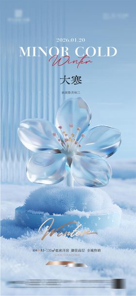 地产大寒质感节气海报