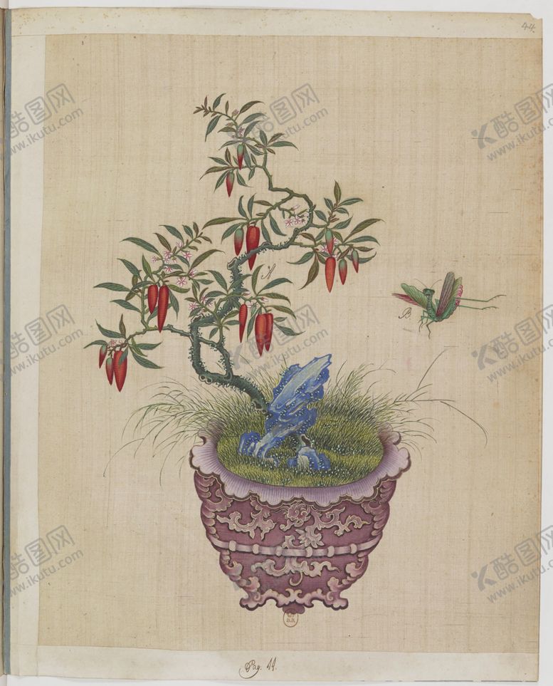 编号：56820503261643515271【酷图网】源文件下载-盆景花鸟