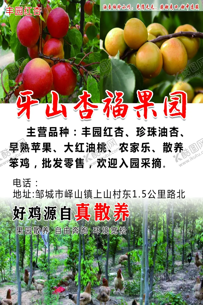 编号：20594204111110389575【酷图网】源文件下载-果园导向牌