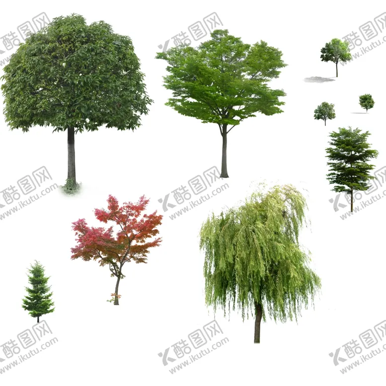 编号：27797407021352009976【酷图网】源文件下载-松树枣树桃树树柏树海