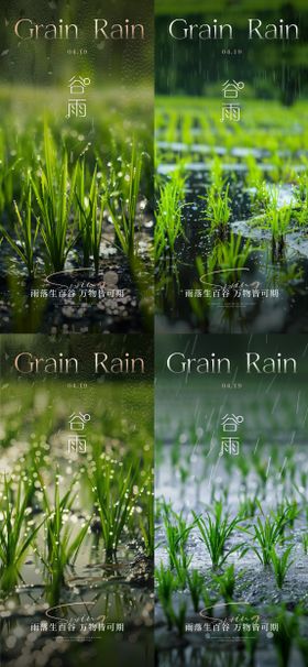 谷雨节气海报发芽田野梯田房地产