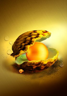 珍珠贝壳