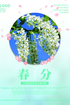 大气简约小清新蓝色节气春分海报