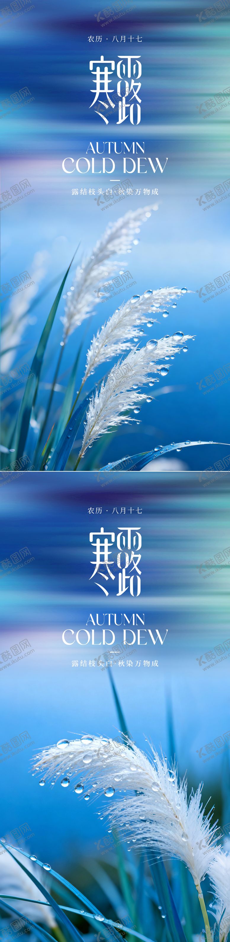 编号：81717209232137503481【酷图网】源文件下载-寒露节气系列海报