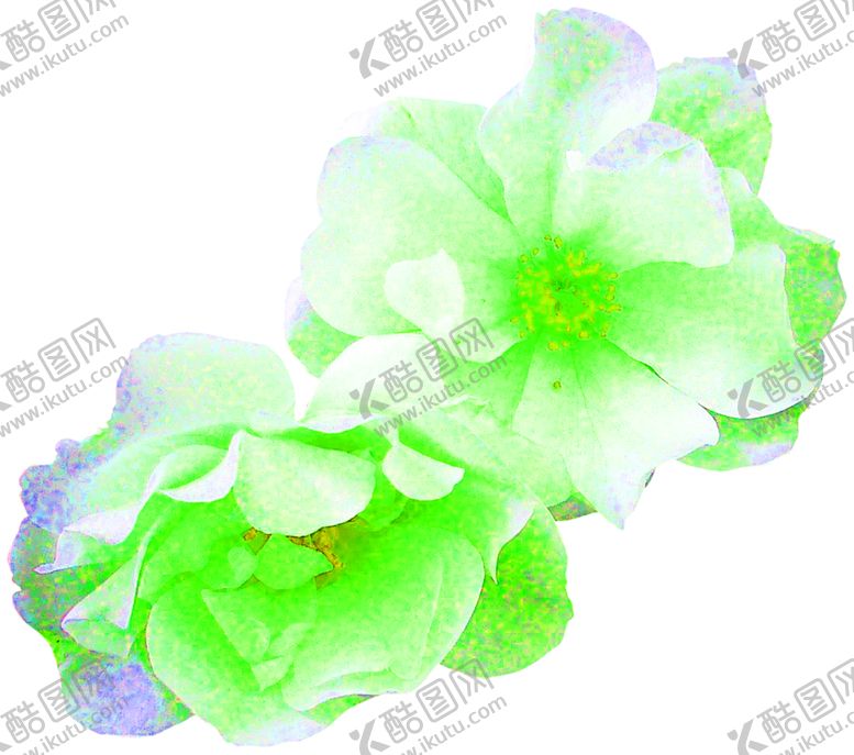 编号：60770509111955286417【酷图网】源文件下载-花素材