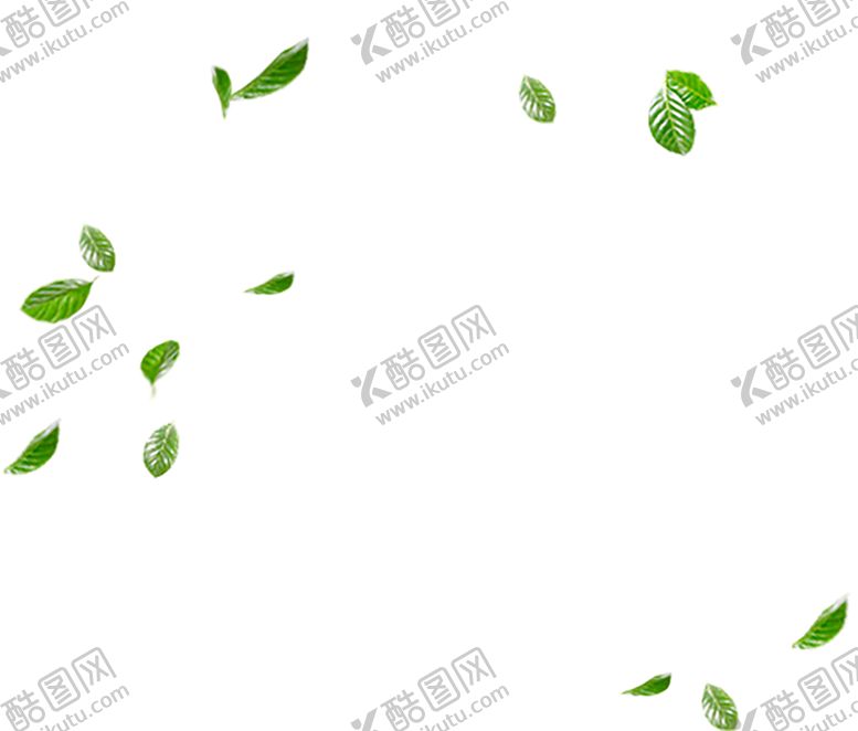 编号：70976009250819187786【酷图网】源文件下载-树叶