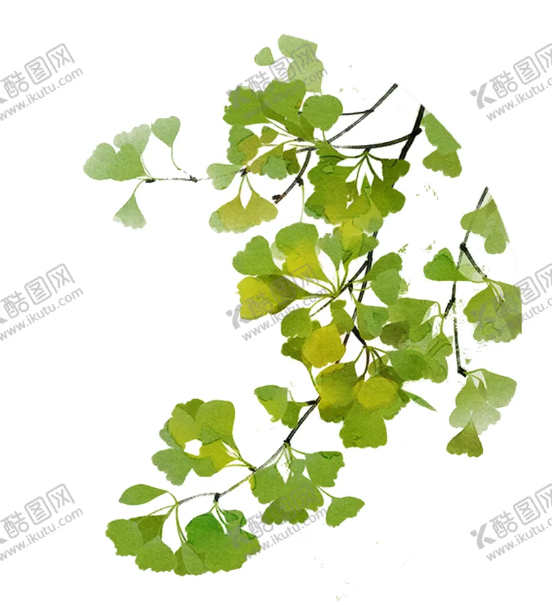 编号：60418906261448427275【酷图网】源文件下载-秋天银杏叶
