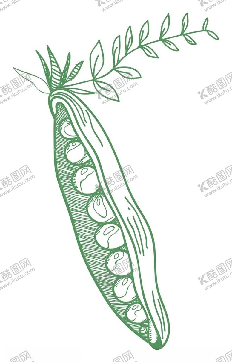 编号：12141302062341038501【酷图网】源文件下载-矢量卡通豌豆荚