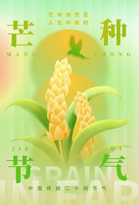 小满海报唯美清新宣传壁纸