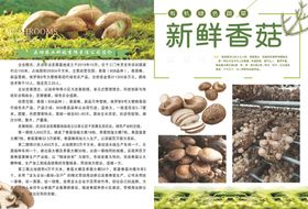 香菇