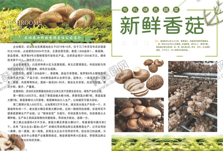编号：97311305061756035913【酷图网】源文件下载-香菇