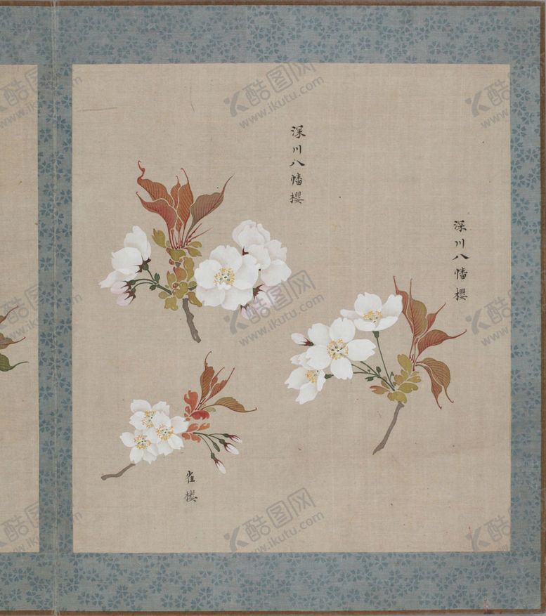 编号：43469904140431597194【酷图网】源文件下载-樱花