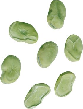 豆子