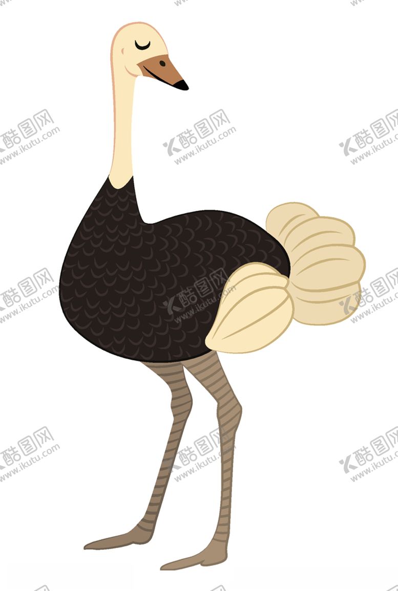 编号：62944805141722112785【酷图网】源文件下载-鸵鸟