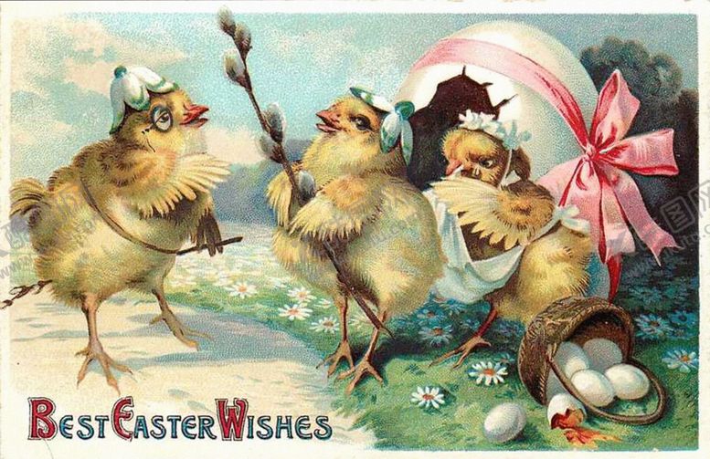 编号：31107510310224328992【酷图网】源文件下载-卡通鸟儿鸭子油画