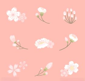 樱花