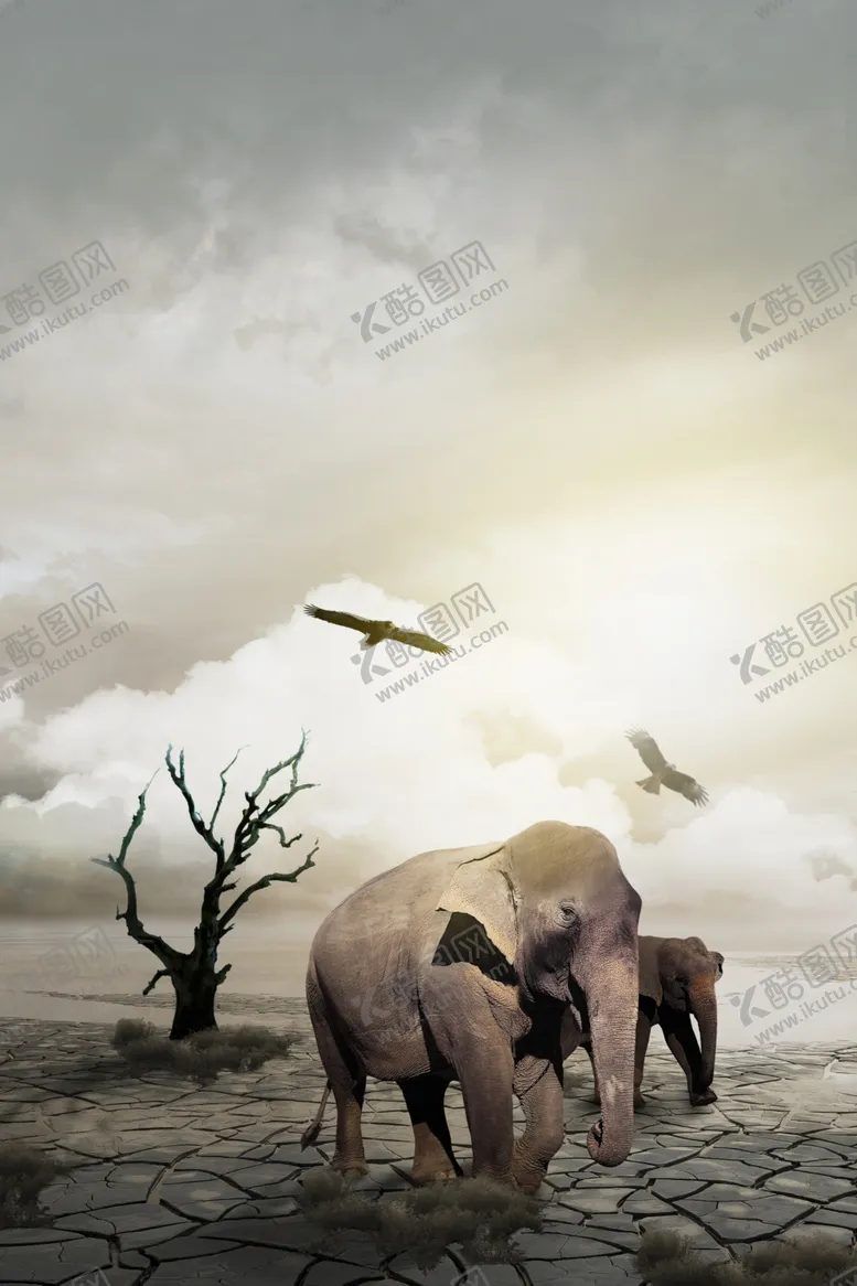 编号：33180109280928244572【酷图网】源文件下载-保护动物