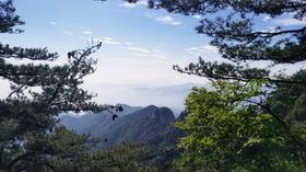 春天爬山绿树松树蓝天