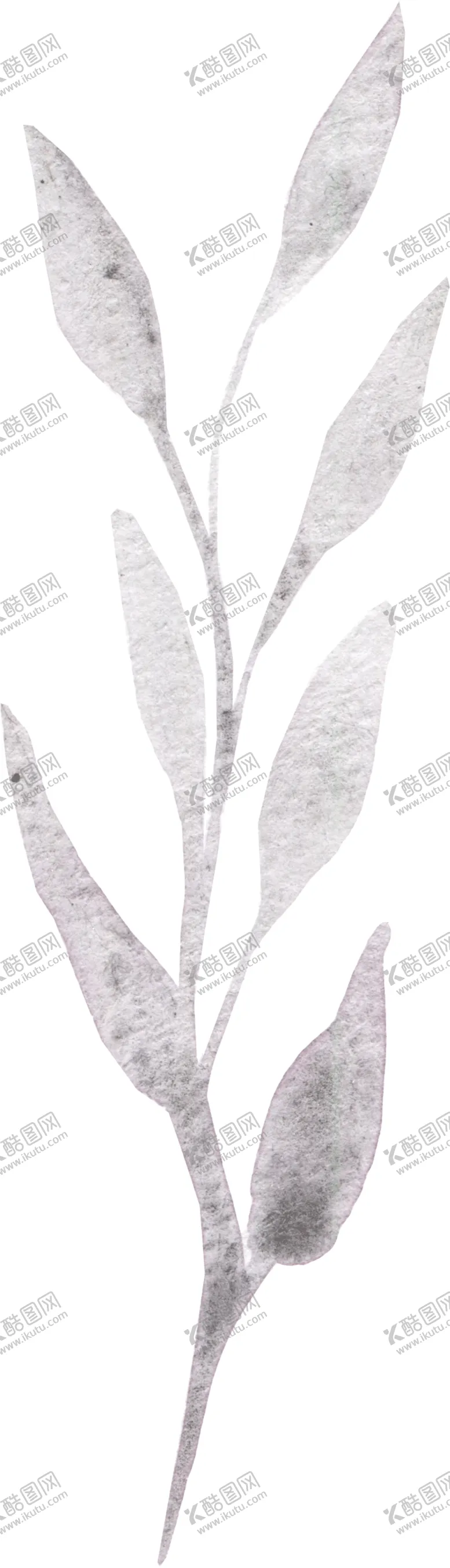 编号：42267009140518581544【酷图网】源文件下载-彩绘枝叶