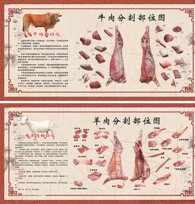 牛羊肉分割图图片