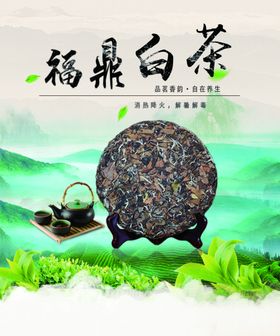 白茶茶业