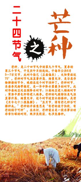 二十四节气文化之芒种