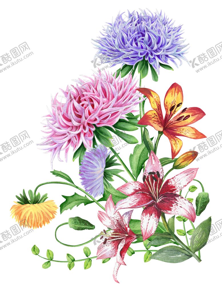 编号：91591009240328584981【酷图网】源文件下载-手绘花草牡丹花园元素素材